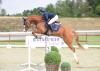 Foto: Crumble’s Balou v. Crumble - Balou du Rouet - Cero - Fotograf: Gr. Feldhaus