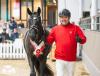 Foto: Preisspitze Westfälischer Hengstmarkt der Dressurhengste - Sohn des Total McLaren - Fotograf: Reckimedia