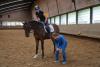 Foto: Übungen auf dem Pferd - Fotograf: Dr. Andrea Pfirrmann