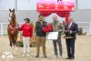 Foto: Siegerhengst Springen der Westfälischen Hauptkörung 2023 - Fotograf: Reckimedia