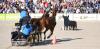 Foto: Speedtrail and Drive - Fotograf: Stephan Kube