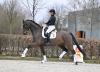 Foto: Dango Rubin v. Danone I – Goldberg - Fotograf: Hubert Fischer