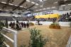 Foto: Hannoveraner Verband
