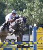 Foto: Steffen Kraus auf Denaria M (Glück für Michael Jung, dass dieses Paar dieses Jahr nicht in Leonberg am Start ist) - Fotograf: Sandra Weeber