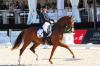 Foto: Dorothee Schneider bei der Peterhof Dressur Gala, hier mit Derano 2014 - Fotograf: a-focus Altenhofer
