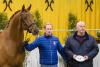 Foto: Destacado wurde mit dem Weltmeyer-Preis ausgezeichnet. Sein Züchter Heinrich Gießelmann (rechts) nahm den Ehrenpreis entgegen, Matthias Alexander Rath präsentierte den Vizeweltmeister der fünfjährigen Dressurpferde in der Niedersachsenhalle - Fotograf: Hannoveraner Verband