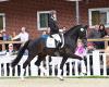 Foto: Preisspitze Diamonds Detto v. Diamond Deluxe - Foundation - Sunny-Boy - Fotograf: OLD Art