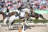 Foto: Die Springquadrille - Ein gern gesehenes Schaubild bei den Hengstparaden - Fotograf: Stephan Kube