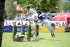 Foto: Michael Viehweg Sieger CSI2 - Fotograf: Buerstätte