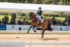 Foto: Schwungvoll ins Finale des NÜRNBERGER BURG-POKALs galoppiert - Dorothee Schneider und Maxi Karft`s Barcelo OLD in München-Riem - Fotograf: Marja Elisat