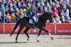 Foto: Doubtless v. Don Nobless-His Highness unter Lukas Maier - Fotograf: Seitz