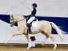 Foto: Dream in Gold AT NRW - Fotograf: Ponyforum GmbH