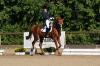 Foto: Dressur bei den Leonberger Reiterspielen - Fotograf: RFV Leonberg