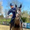 Foto: Gestüt Famos-Neuzugang Elastic unter Dorothee Schneider