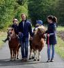 Foto: Sebastian und Nadine Elias mit ihren pony-begeisterten Kindern - Fotograf: : Privat/ Elias