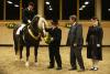 Foto: Anlässlich der Körung in St. Märgen 2018 wurde Dachs als Elitehengst ausgezeichnet. Züchter Alfred Laubis (Titisee-Neustadt) und Karl-Heinz Eckerlin gratulieren Reiter PWM Jochen Ott zur Auszeichnung dieses Ausnahmehengstes - Fotograf: D. Matthaes