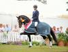 Foto: Equitaris und sein Züchter und Reiter Stephan Borgmann als Siegerpaar im Westfalen-Championat der dreijährigen Reitpferde Ende Juli in Münster-Handorf - Fotograf: Thoms Lehman