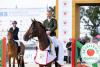 Foto: Kommt gerne wieder zur DKB-Pferdewoche Hohen Wieschendorf: David Will - Fotograf: reitsport-hellmann.de