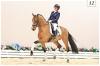 Foto: Ernesto v. Erdinger - Stedinger - Welt Hit II - Fotograf: OLD Art