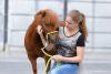 Foto: Die Facebook-Stars Maja und Gijs sind bei der Baltic Horse Show 2015 zu Gast! - Fotograf: Veranstalter