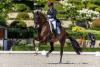 Foto: Faustus und Dorothee Schneider (GER) siegen mit 74,044% im Grand Prix der Grand Prix Special-Tour - Fotograf: Sportfotos-Lafrentz.de