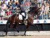Foto: Bundeschampionesse Feine Bella NRW wurde für 305.000 Euro versteigert - Fotograf: Reckimedia