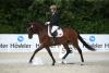 Foto: Preisspitze Ferrani v. Finest/Dr. Jackson (Z.: ZG Riss, Medlingen) - Fotografin: Doris Matthaes 