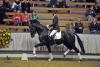 Foto: Finest Selection unter Lukas Fischer - Fotograf: Gesina Grömping/Equitaris 