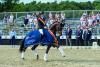 Foto: Der Bundeschampion For Real - Fotograf: Equitaris.de/Grömping
