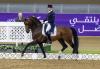 Foto: Foundation war aktuell mit Matthias Alexander Rath in Doha/QAT auf Grand Prix-Niveau erfolgreich - Fotograf: Hannoveraner Verband/Stefan Lafrentz