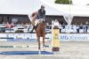 Foto: Heiko Schmidt sauste mit Chap zum Sieg im Championat von Lübzer - Fotograf: Karl-Heinz Frieler