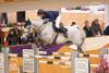 Foto: Unglaublich schnell waren Martin Fuchs (SUI) und Cool and Easy im Stechen des GLOCK's 3* Grand Prix 2018 und holten in 43,30 Sekunden souverän den Sieg - Fotograf: © Michael Rzepa