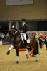 Foto: GLOCK Rider Edward Gal im Sattel von GLOCK’s Romanov beim CDI-W Odense 2012 - Fotograf: Ridehesten 