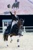 Foto: So sollte man reiten können! Die Sieger der GLOCK CDI4* Musikkür: GLOCK Rider Edward Gal und GLOCK’s Undercover - Fotograf: Nini Schäbel
