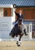 Foto: ​Locker und ganz souverän ritten GLOCK Rider Edward Gal (NED) und GLOCK's Voice zum Sieg im CDI4* Grand Prix de Dressage - Fotograf: Arnd Bronkhorst