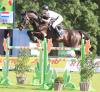 Foto: Gerben Morsink aus den Niederlanden und Navarone Z auf dem Weg zum Sieg im Ricosta Championat in Donaueschingen - Fotograf: Roger Müller/ ROM-Foto