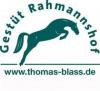 Gestüt Rahmannshof - II. Springpferde-Auktion am 24.04.2013