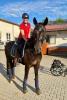 Foto: Gianna Regenbrecht und Fürst Sinclair sind für die WM Para-Dressur in Herning (Dänemark) nominiert - Fotograf: privat