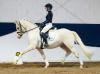 Foto: Preisspitze mit 30.000,00€ "Glückspilz" Westfälischer Reitponywallach v. Golden Atreju / Gandalf, Züchter Jürgen Buse aus Stemwede