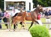 Foto: Janne Bugtrup 