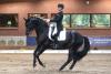 Foto: Mit Grey Flanell souveräne Siegerin in der Intermediaire in Schenefeld - Lena Waldmann aus Werder - Fotograf: Tara Gottmann
