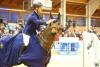 Foto: Titelverteidiger beim CSI Neustadt-Dosse - Holger Wulschner mit Quantico. Er ist auch 2025 in der Graf von Lindenau-Halle dabei - Fotograf: B. Placzek