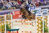 Foto: Mit Talent, Einfühlungsvermögen und tollen Ritten gewinnt Tippi Heineking das Finale des HGW Bundesnachwuchschampionat der Springreiter - Fotograf: sportfotos-lafrentz.de