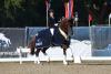 Foto: Champion der vierjährigen Hengste - San to Alati und Mareike Mimberg - Fotograf: Hannoveraner Verband