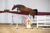Foto: Sohn des Heartbreaker - Fotograf: Hubert Fischer 