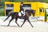 Foto: Heidi Borst aus Jagstzell auf Top Secret, Siegerin mit diesem Pferd in der Dressurpferdeprüfung Klasse A - Fotograf: Christian Bittner