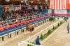 Foto: Erleben Sie die spannenden Oldenburger Hengst-Tage 2023 - Fotograf: OLD Art