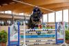 Foto: Hengste wie Central Park von Casall werden am 7. Februar online bei clipmyhorse.tv von der Hengststation Maas J. Hell präsentiert - Fotograf: Stefan Lafrentz