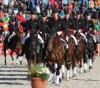 Foto: Impression der Hengstparade 2016 - Fotograf: Stephan Kube