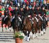 Foto: Traditionelle Hengstquadrille der Marbacher Hengste mit ihren Reitern - Fotograf: Stephan Kube